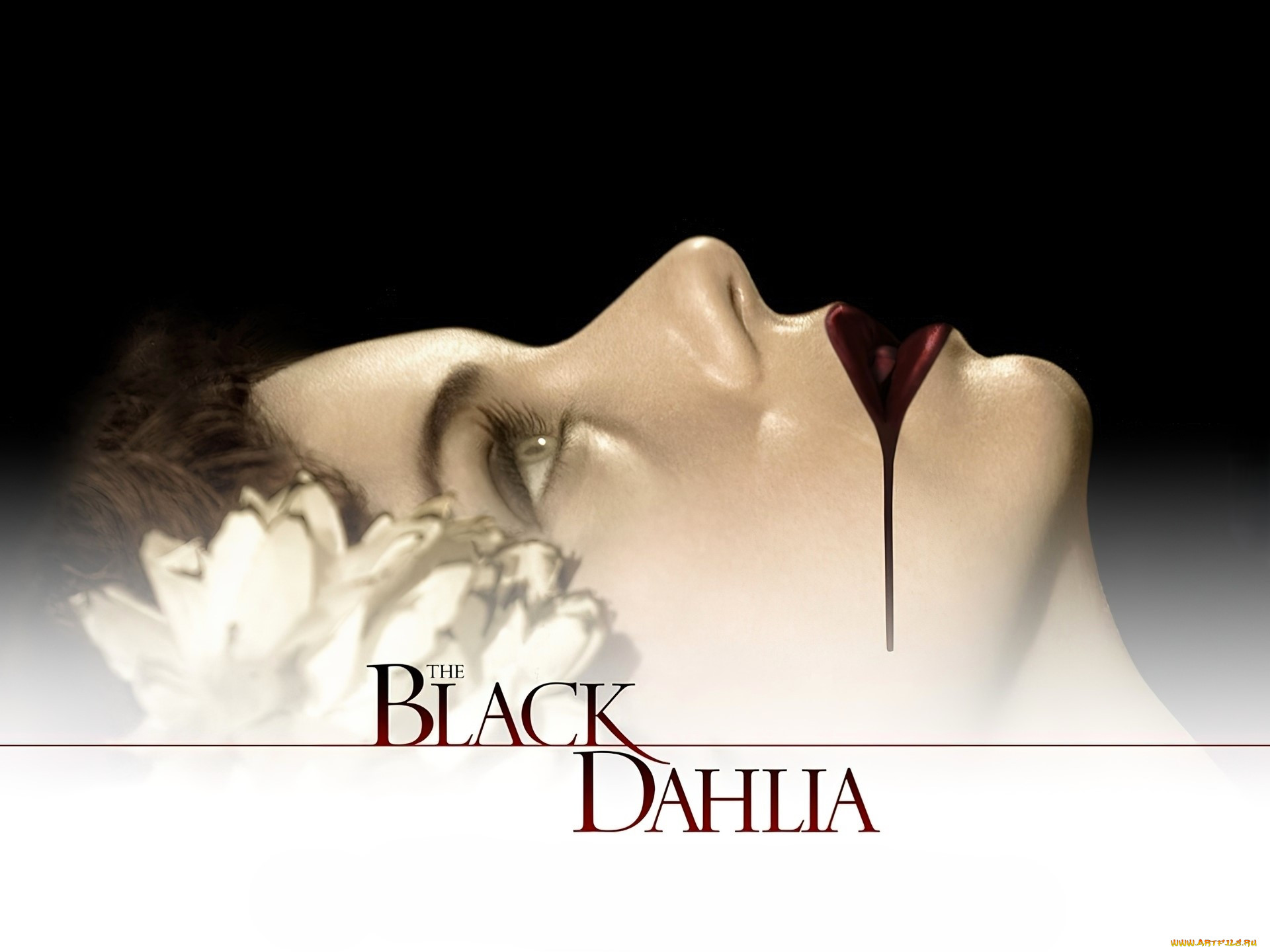  , the black dahlia, , , 